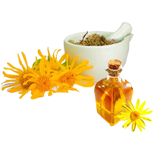EXTRACT DE ARNICA MONTANA